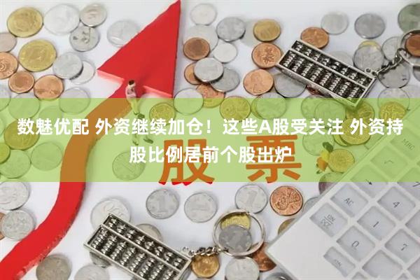数魅优配 外资继续加仓！这些A股受关注 外资持股比例居前个股出炉