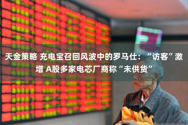 天金策略 充电宝召回风波中的罗马仕：“访客”激增 A股多家电芯厂商称“未供货”