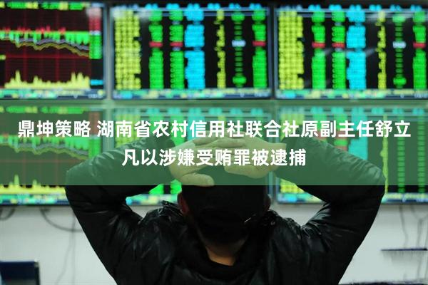 鼎坤策略 湖南省农村信用社联合社原副主任舒立凡以涉嫌受贿罪被逮捕