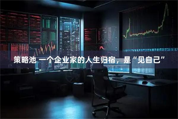 策略池 一个企业家的人生归宿，是“见自己”