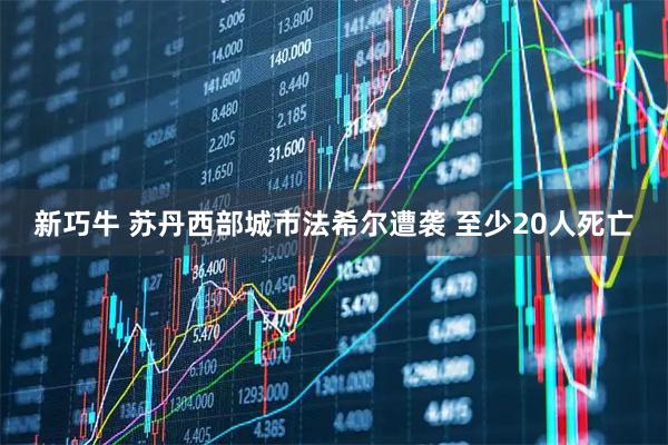 新巧牛 苏丹西部城市法希尔遭袭 至少20人死亡