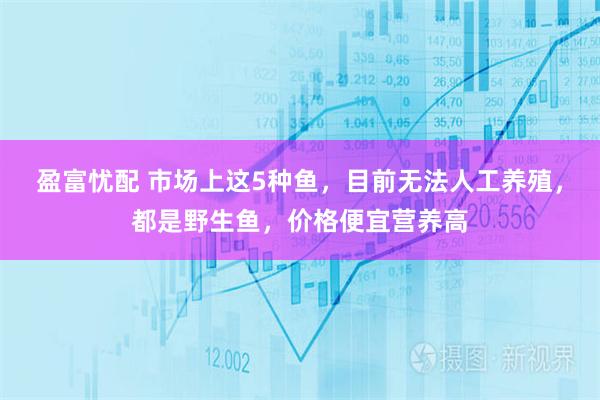 盈富忧配 市场上这5种鱼，目前无法人工养殖，都是野生鱼，价格便宜营养高